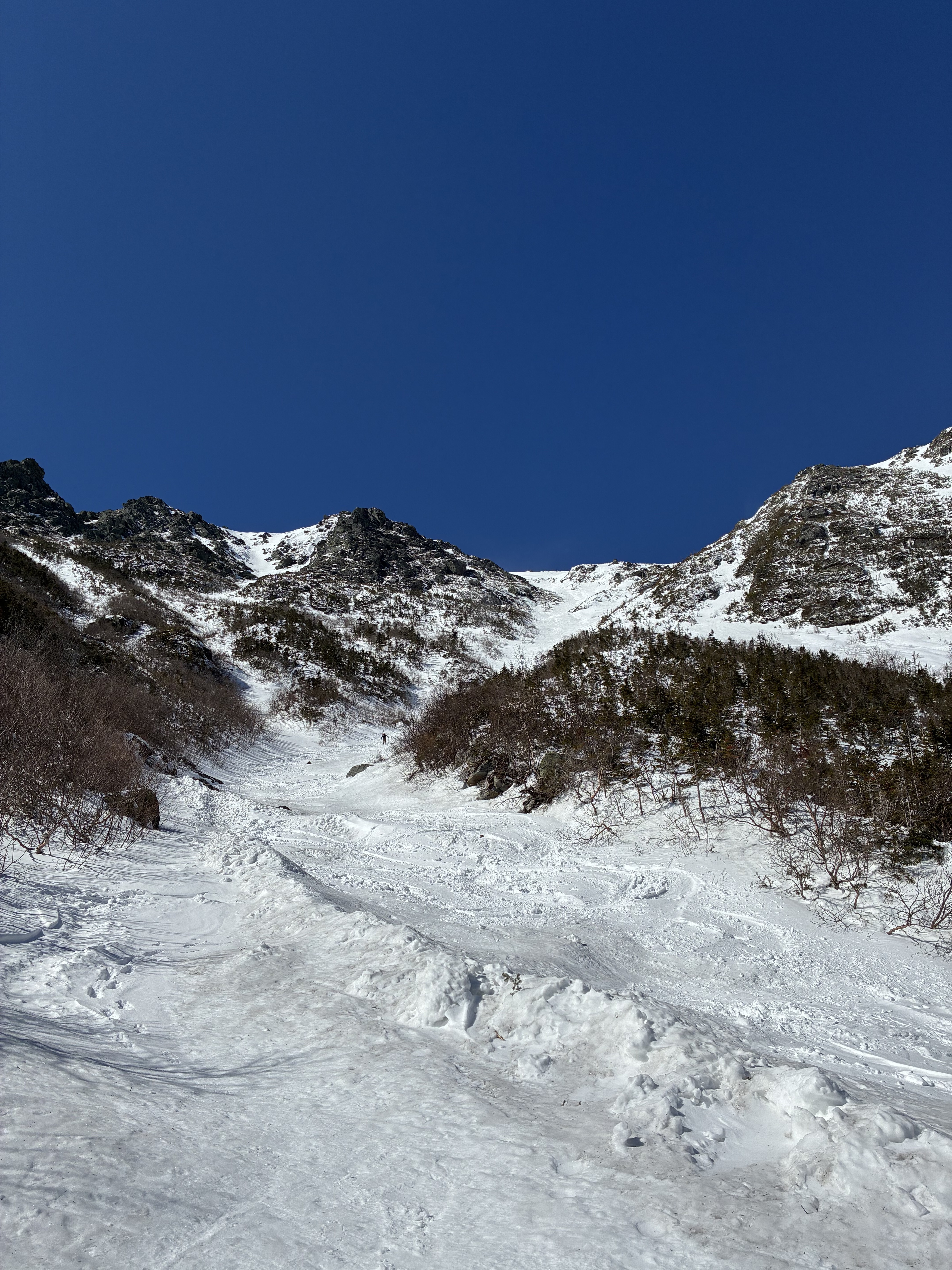 Looking Up From The Base Of Hillmans Looking Up From The Base Of Hillmans